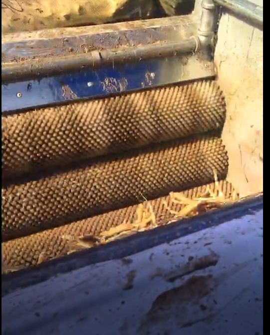 草藥清洗機工作視頻