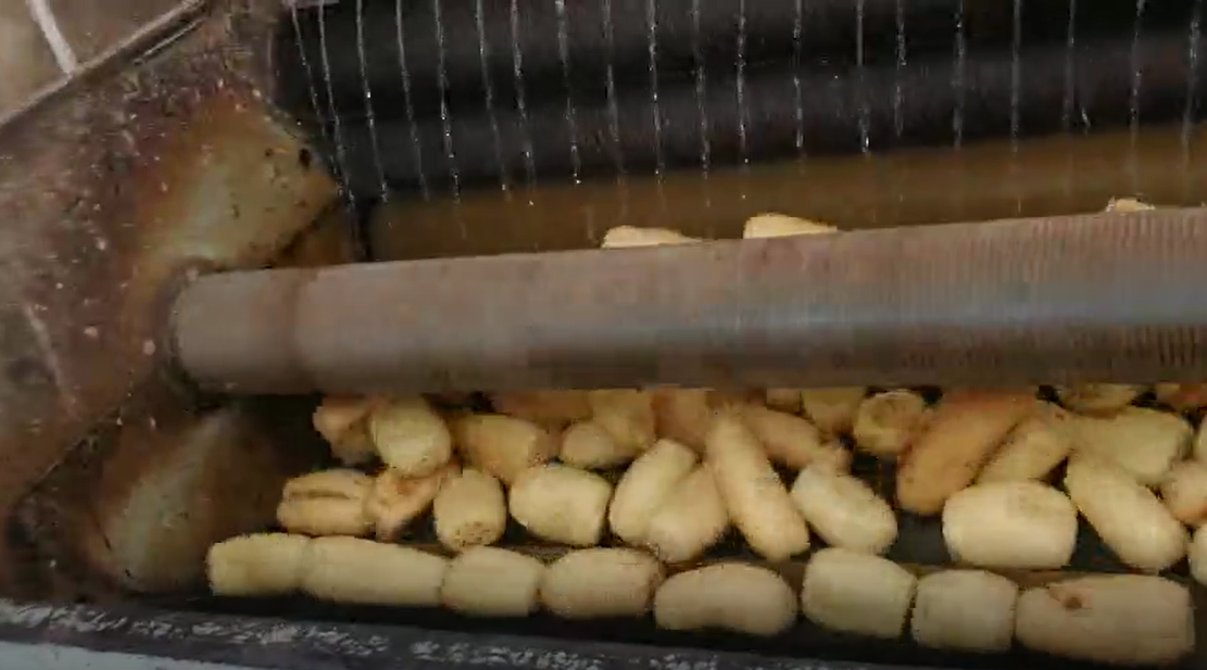 蓮藕清洗機工作視頻