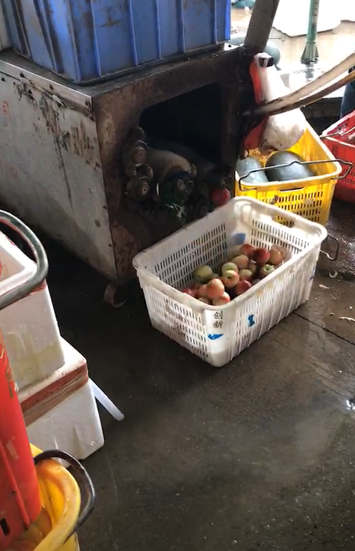 毛桃清洗機工作視頻