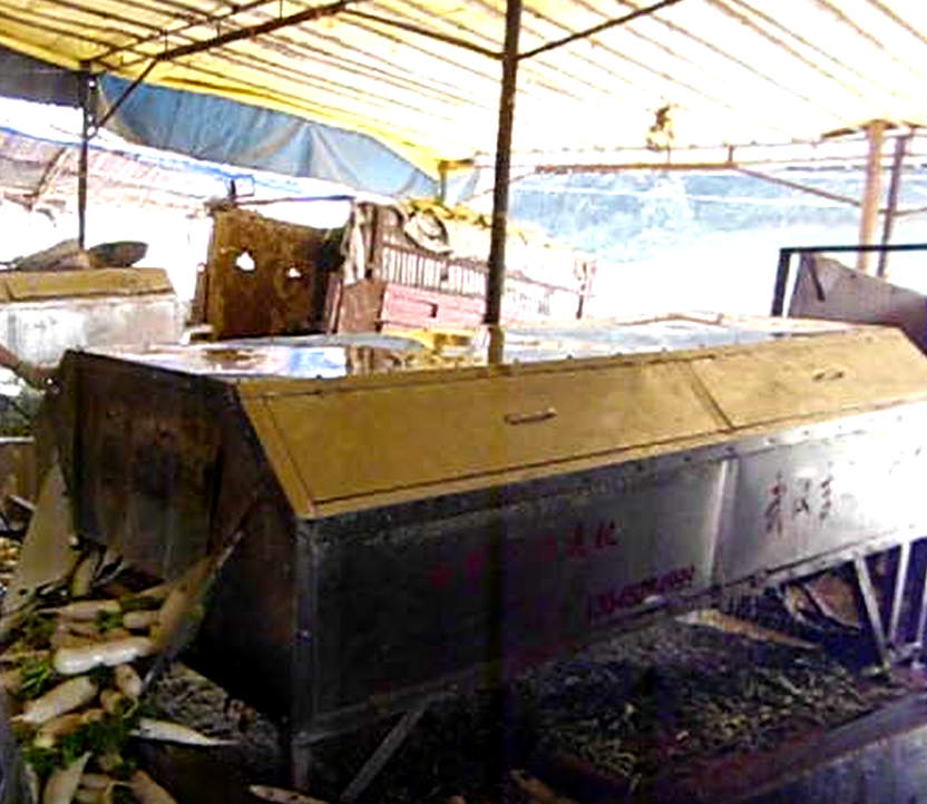 批發(fā)市場白蘿卜清洗機(jī)工作視頻