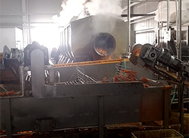 大型胡蘿卜清洗機工作視頻