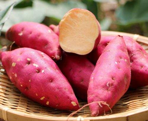 紅薯在什么時候吃最好，需要注意什么