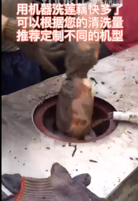 大批蓮藕上市，需要蓮藕清洗機的看過來