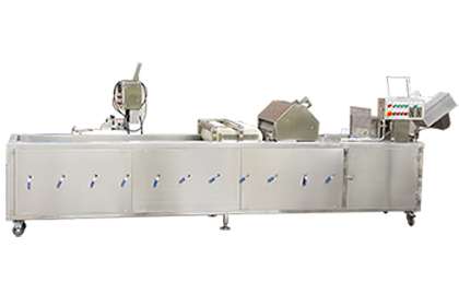 臭氧消毒洗菜機(jī)(帶除雜裝置)