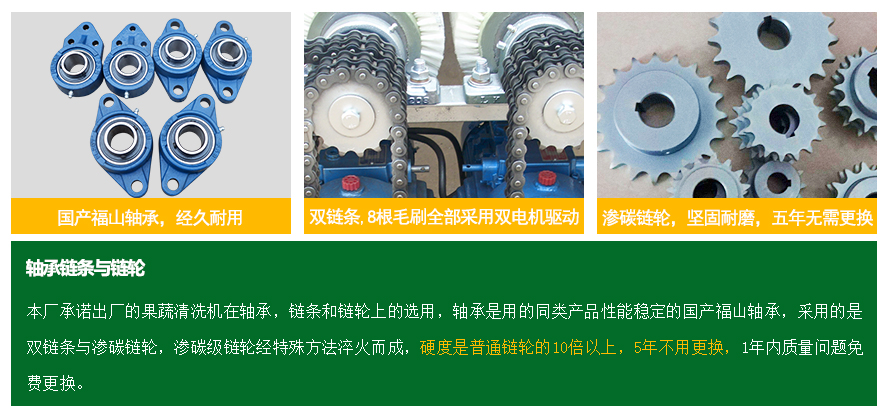 果蔬清洗機(jī)細(xì)節(jié)軸承鏈條鏈輪