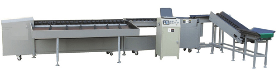 果蔬重量分級機